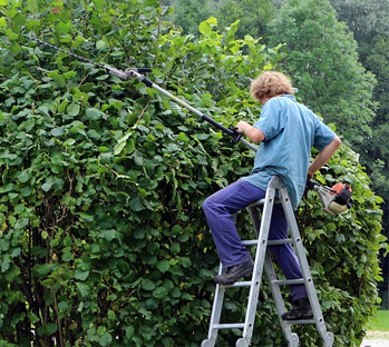 hedge trimmer